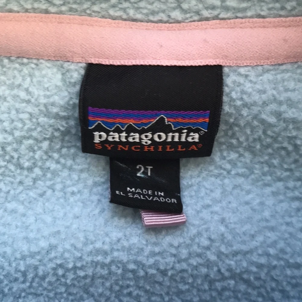Patagonia Fleece Pullover (size 2T)